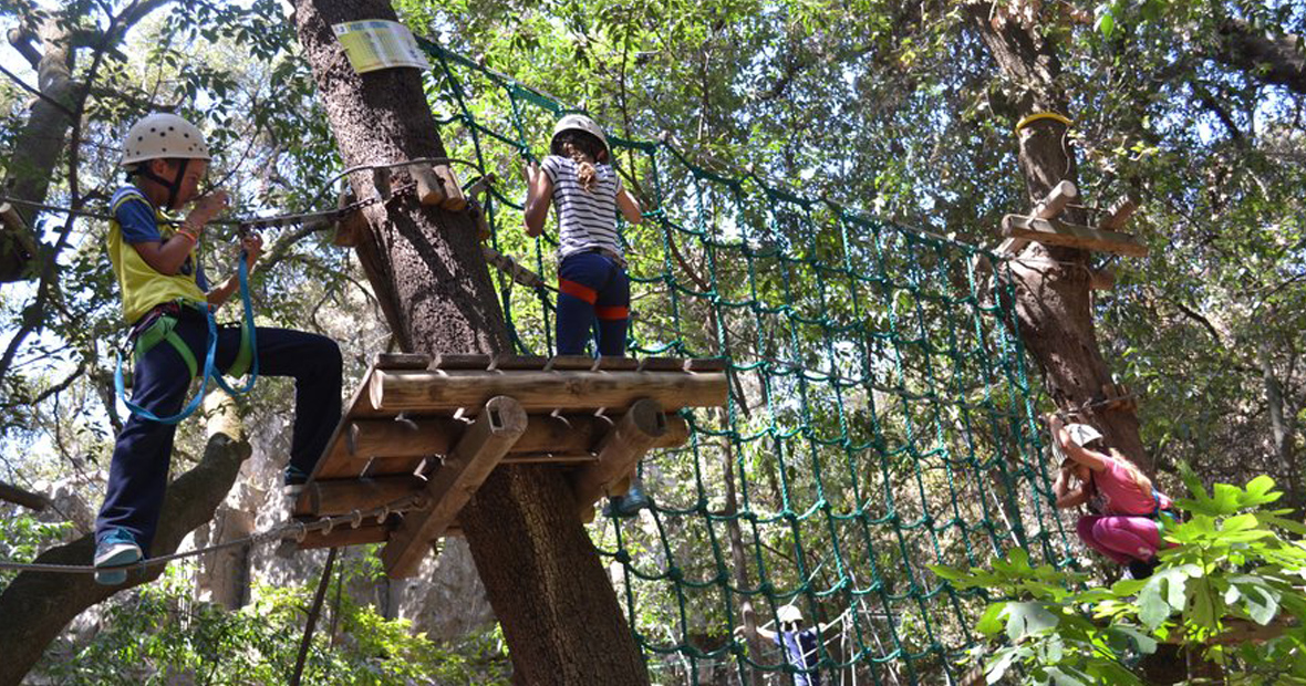 session d'accrobranche